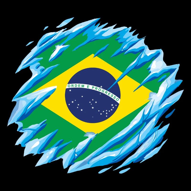 Drapeau du Brésil Drapeau brésilien Amérique du Sud