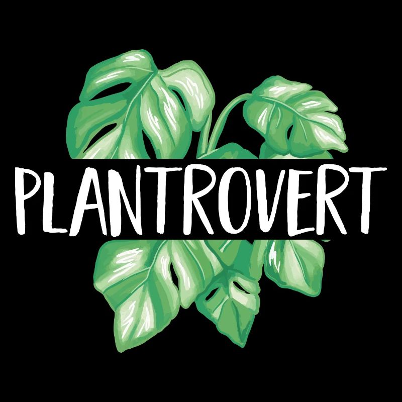Monstera Deliciosa Albo Plante d’intérieur botanique