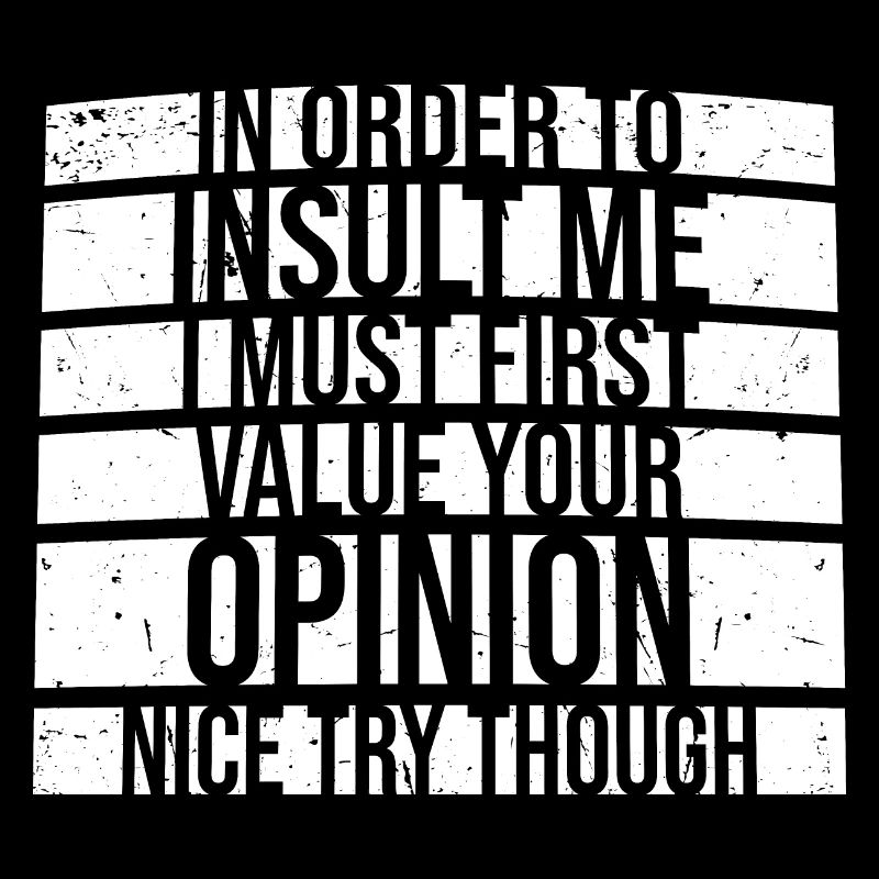 In Order To Insult I Must First Value Your Opinion