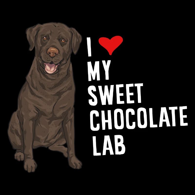 Chien Labrador Retriever chocolat