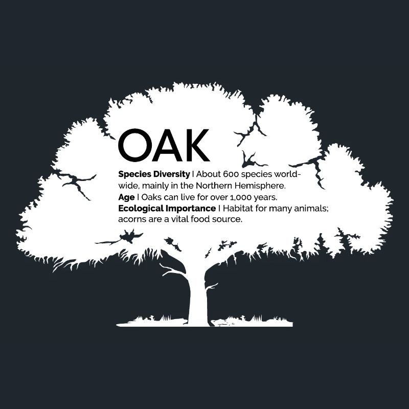 OAK Eichen mit Informationen Naturschutz Baum Wald