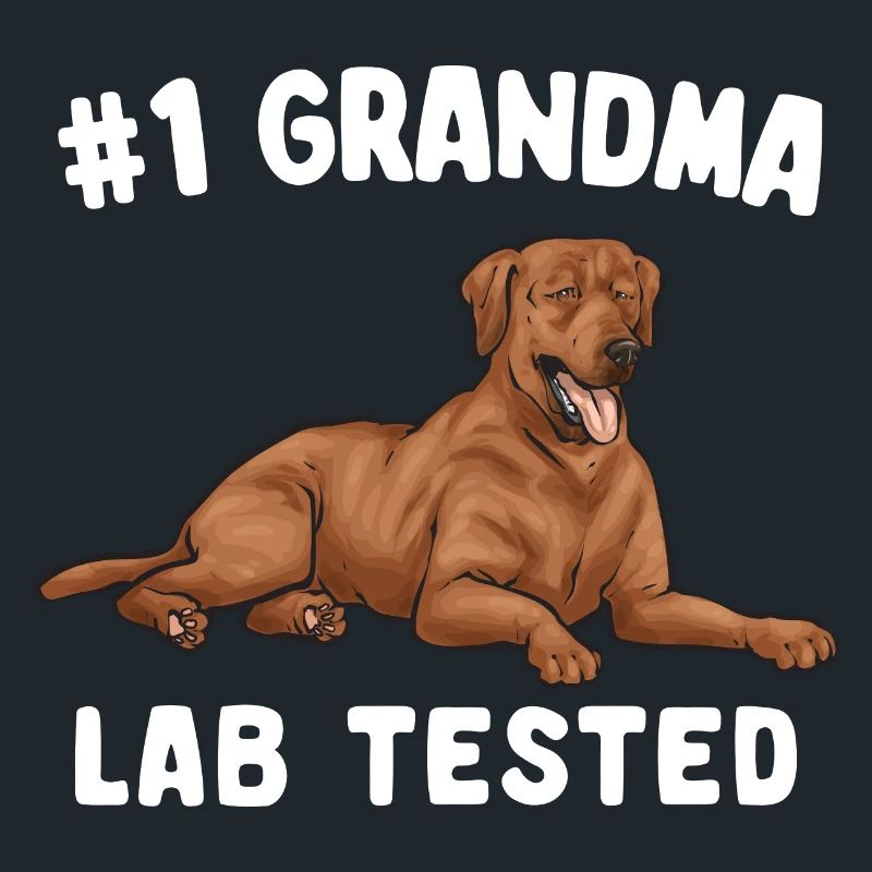Fuchsroter Labrador Retriever Fox Red Labrador