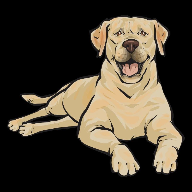 Yellow Labrador Retriever