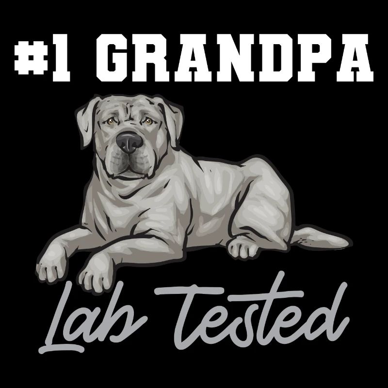 Silver Labrador Retriever Silver Lab