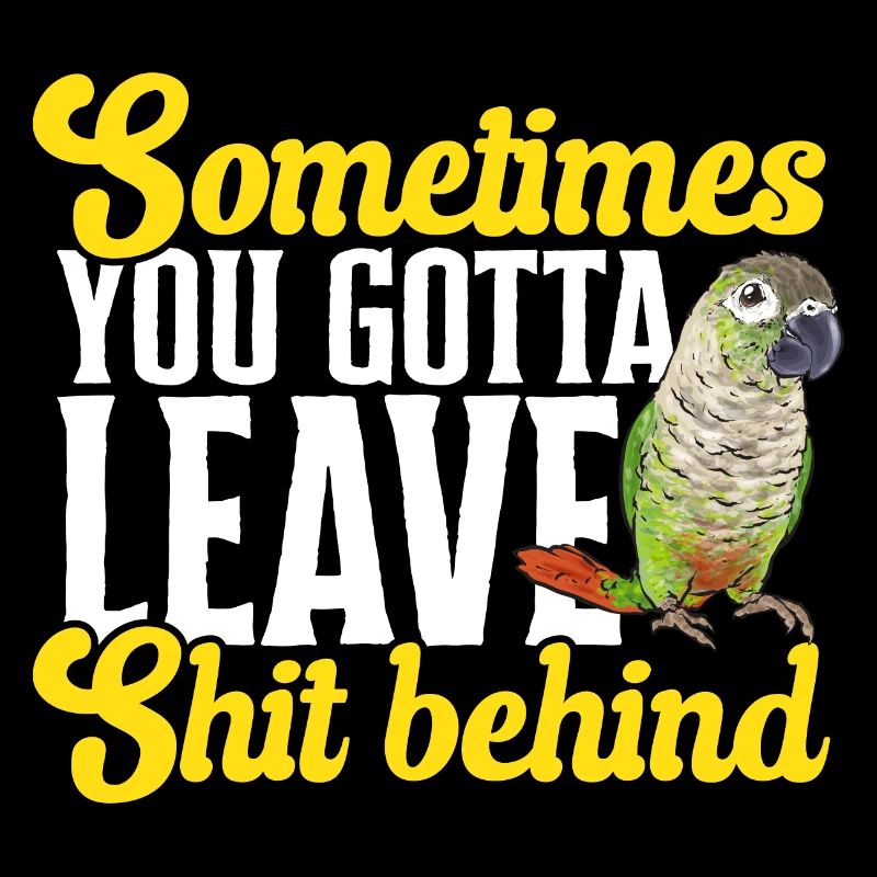 Molinasittich Papagei Vogel Sittich