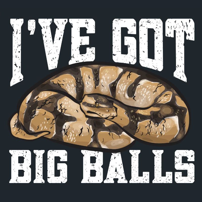 Ball Python Schlange Königspython