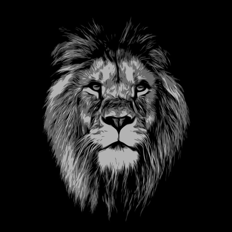 lion