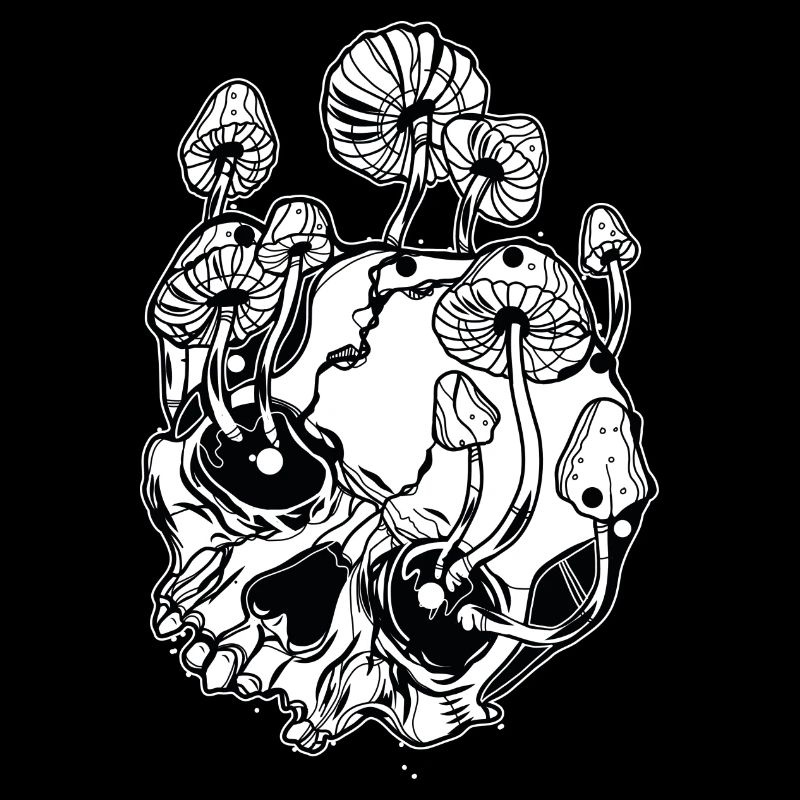 Champignons magiques // Crânes // Illustration