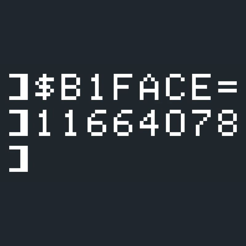 B1FACE Biface Code hexadécimal 8 bit Geek