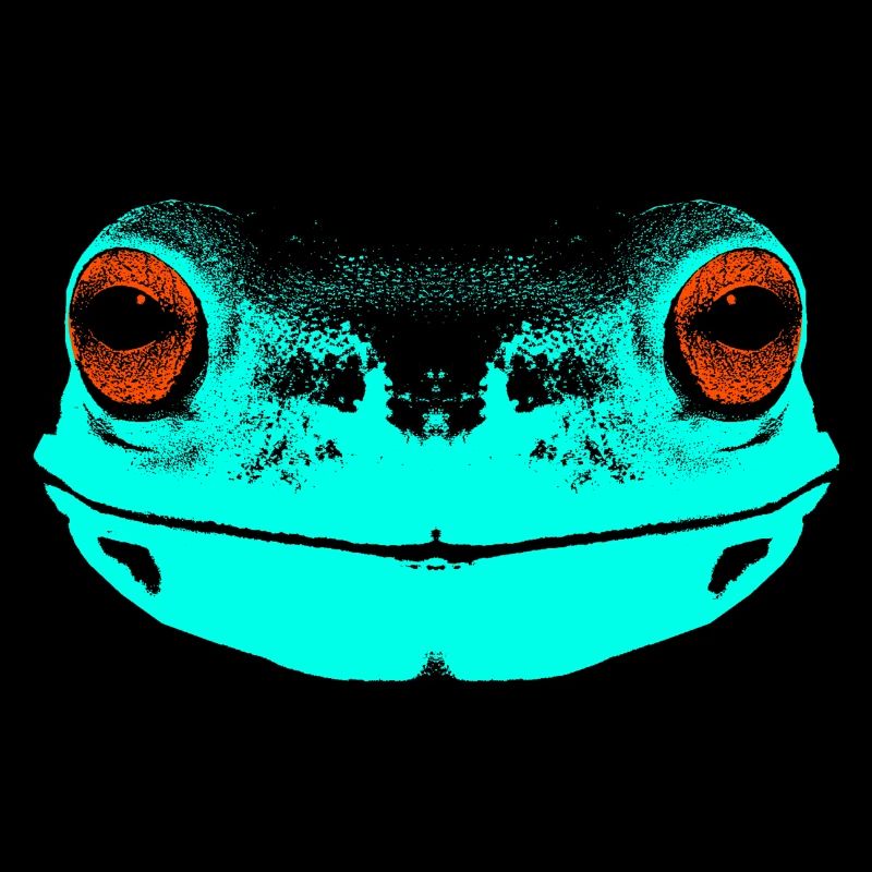 Grenouille / visage / coloré