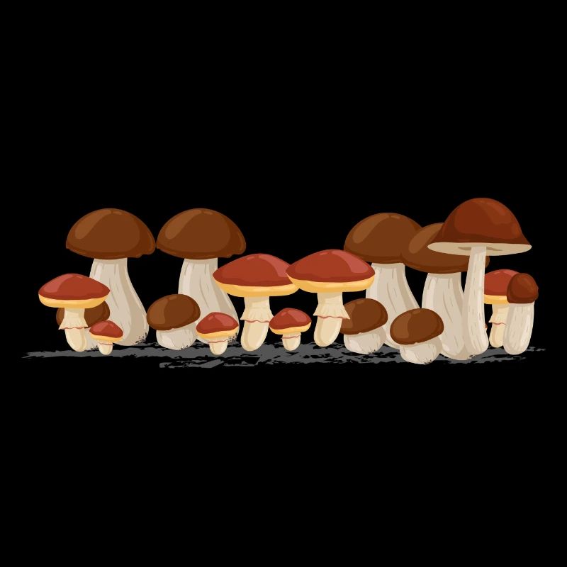 Connaisseur de champignons Saison des champignons Cèpes cueilleurs de champignons