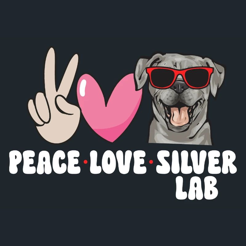 Silberner Labrador Retriever Silberner Lab