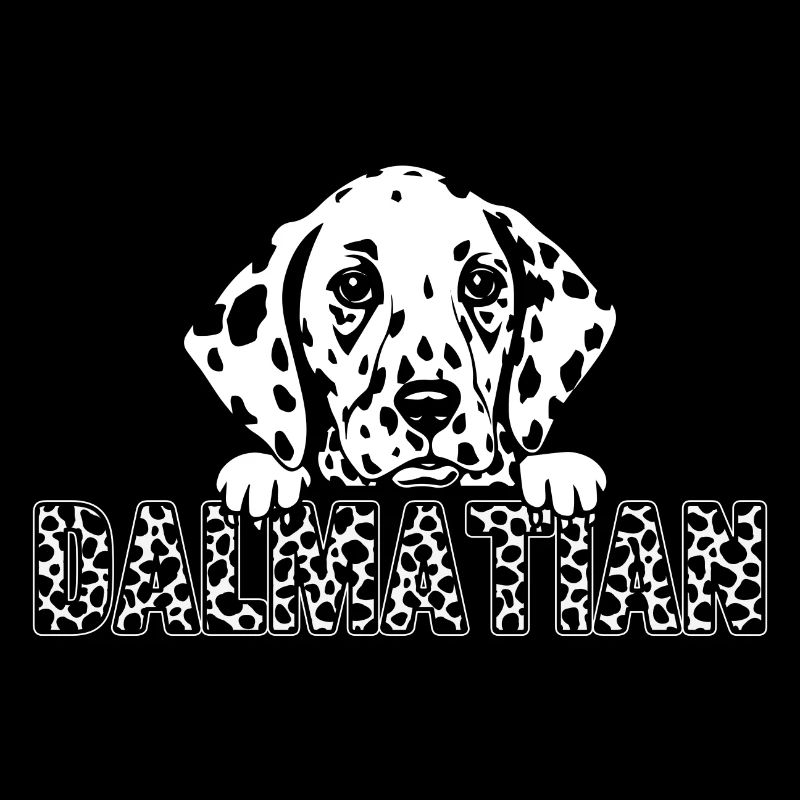 Dalmate