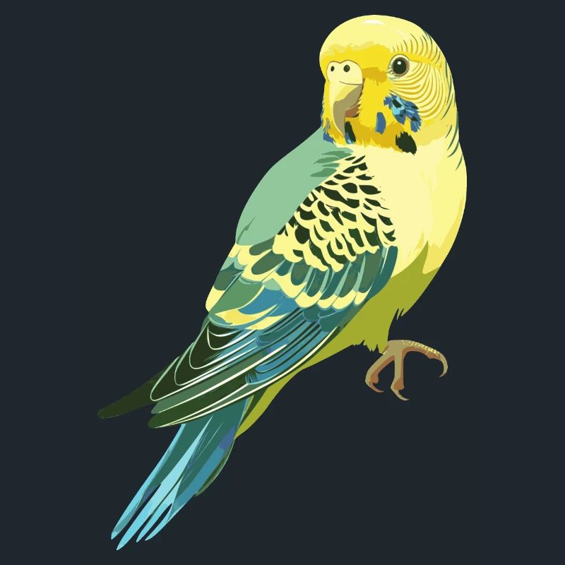 Budgerigar