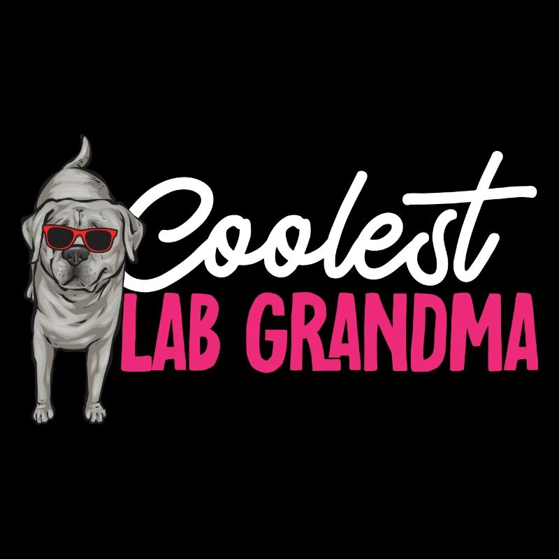 Silberner Labrador Retriever Silberner Lab