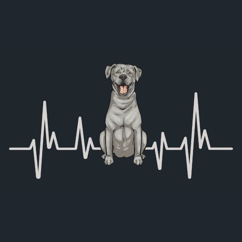 Silver Labrador Retriever Silver Lab
