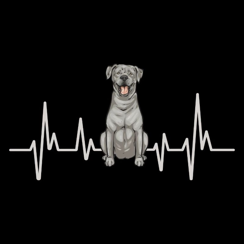 Silberner Labrador Retriever Silberner Lab