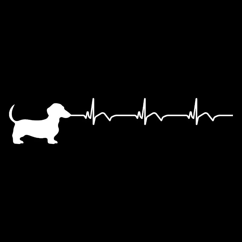 Dackel EKG Herzschlag