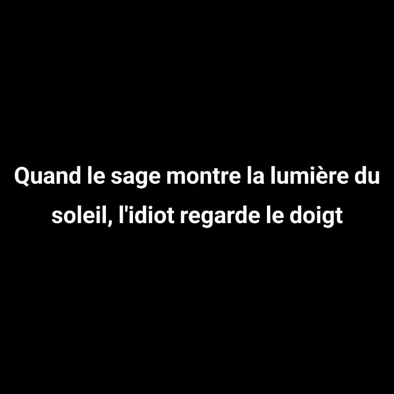 Le Sage et l'Idiot - Citation Philosophie