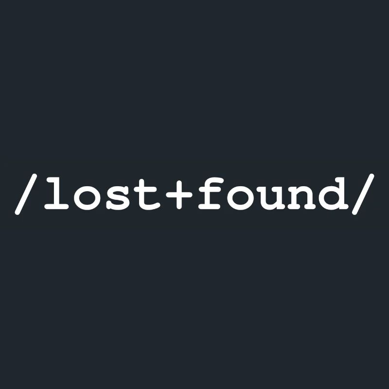 Lost+Found - /lost+found/ folder