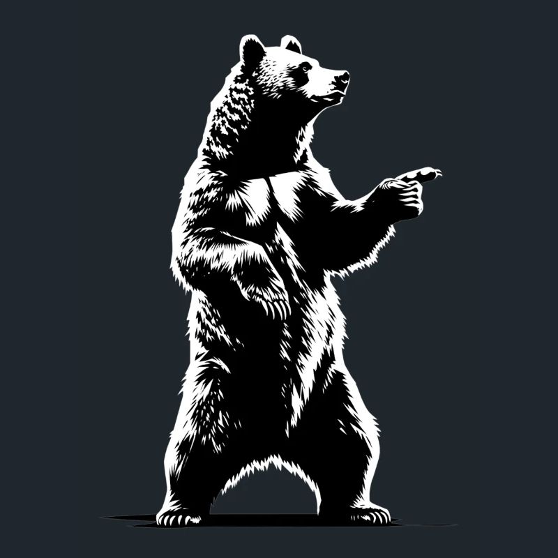 Ours explicatif de danse | Index de l’enseignant