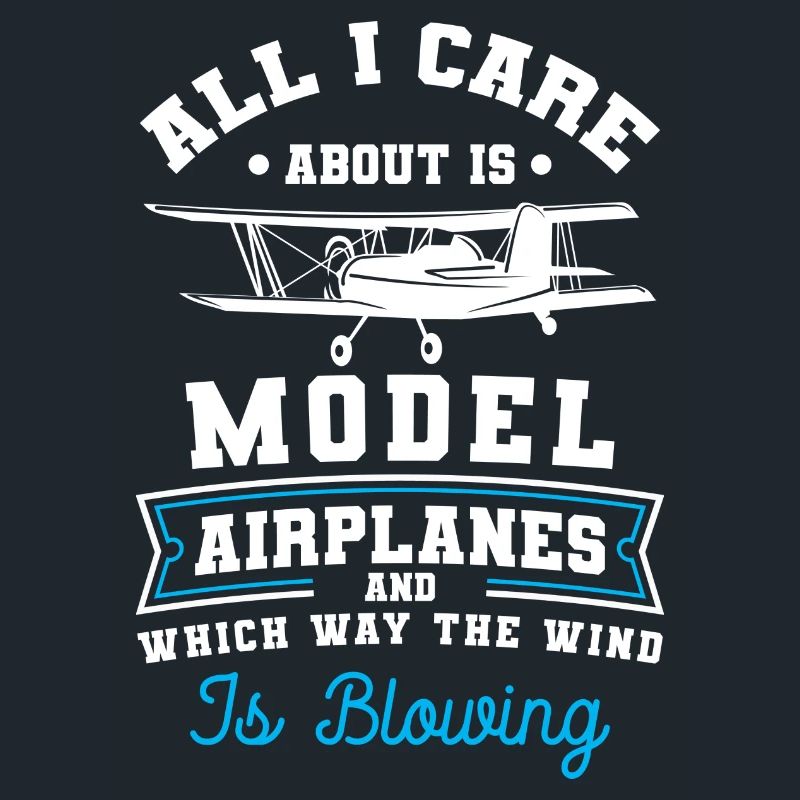Model Airplane Airplane Pilot Model