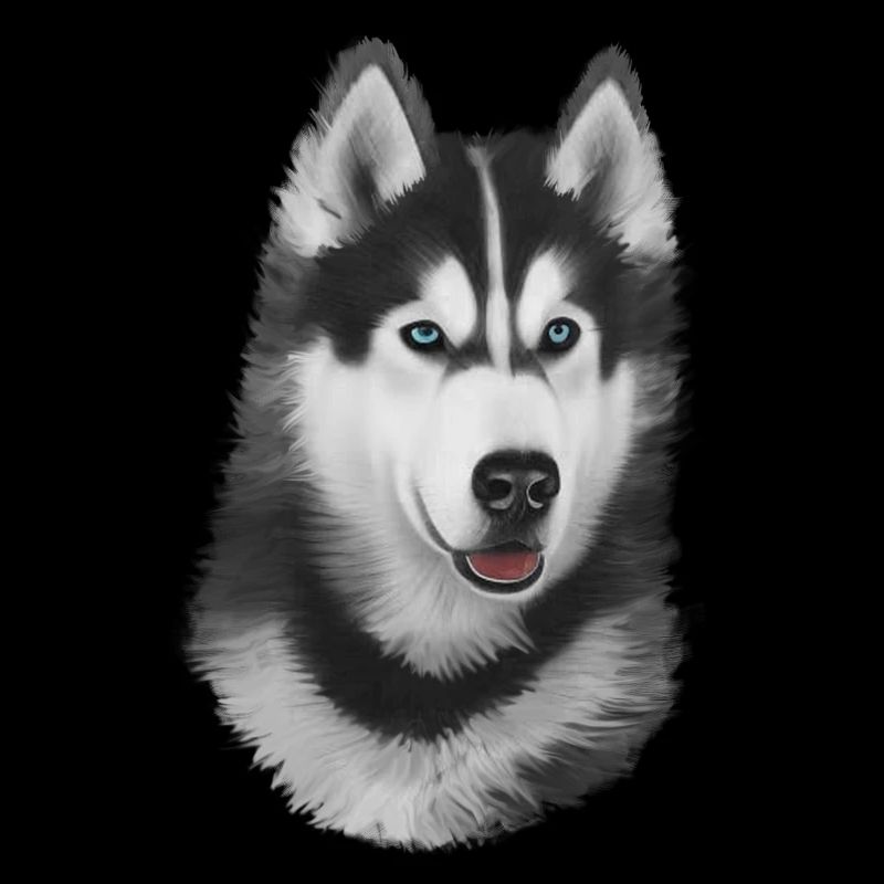 Husky peint