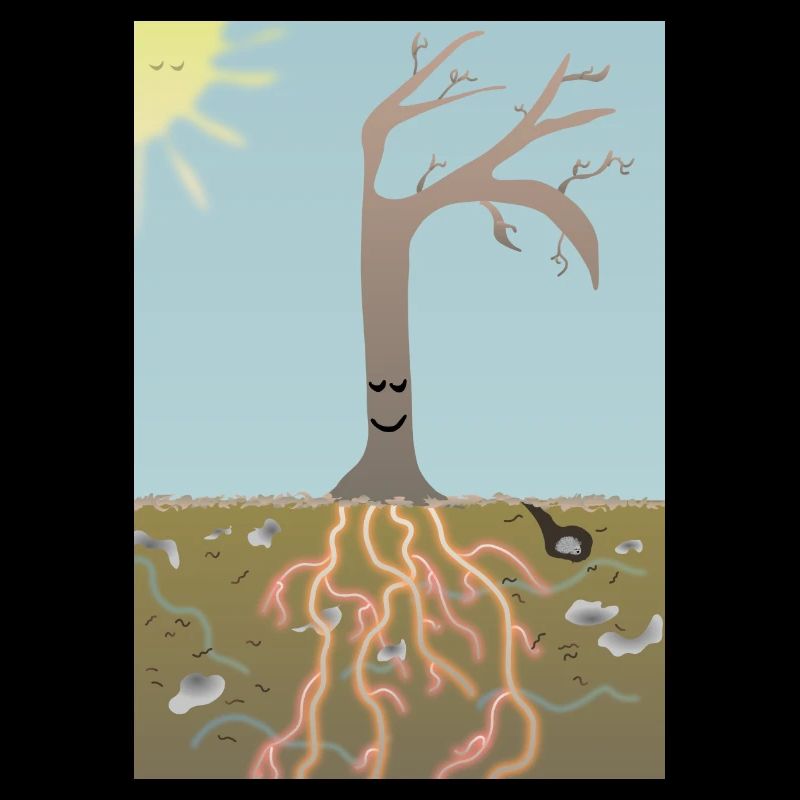 Hiver force intérieure