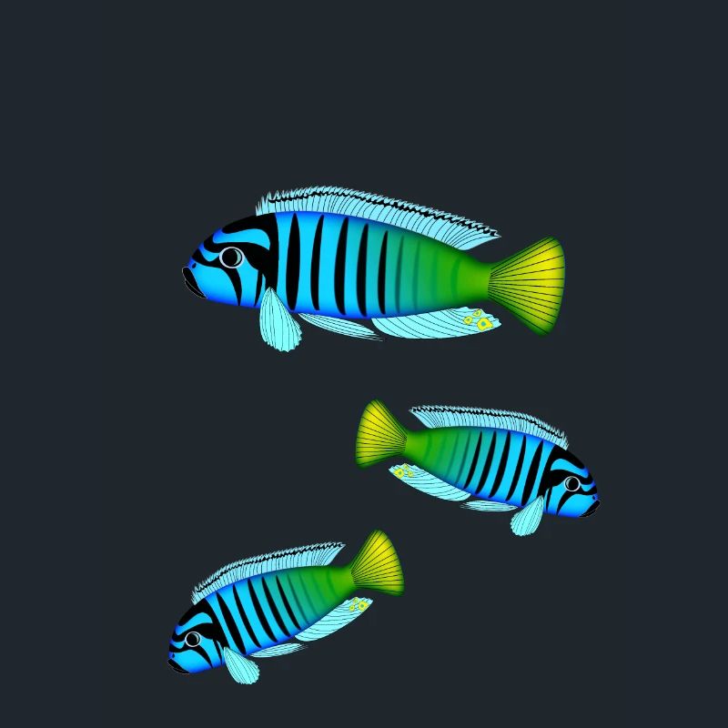 Perche Poisson Perche Colorée Malawi Africain