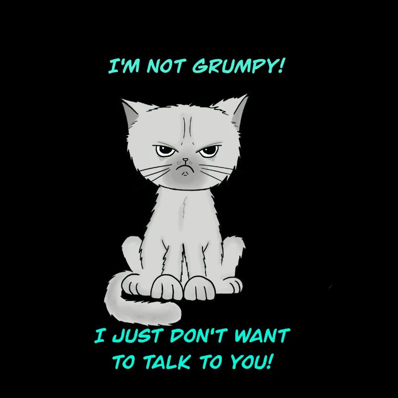 Chat sans fond