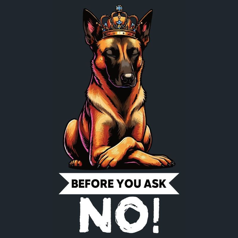 Before You Ask Malinois Belgischer Schäferhund 