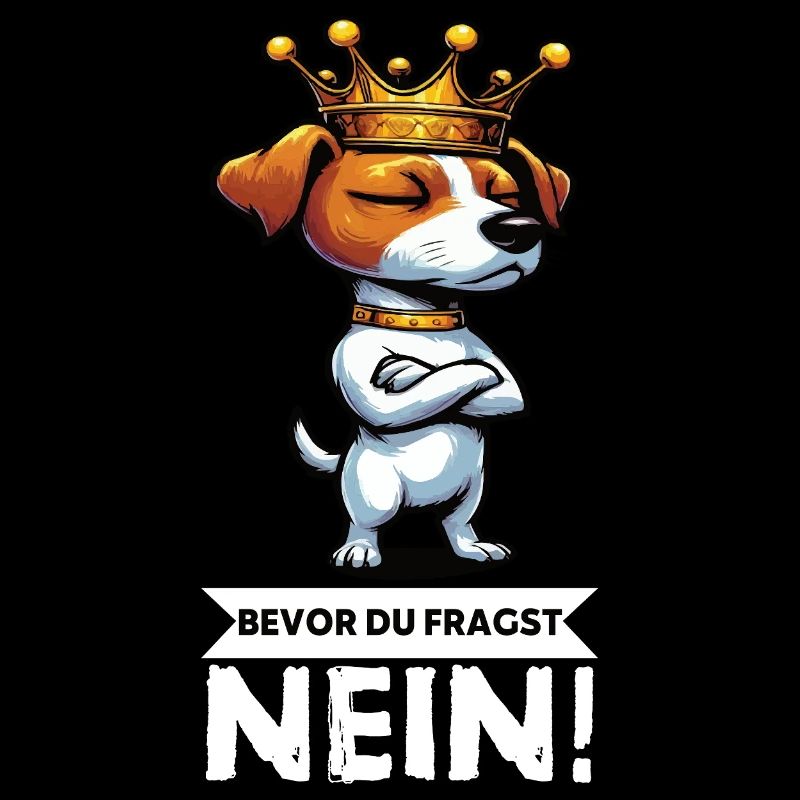 Bevor du Fragst Jack Russel terrier Jackie Terrier