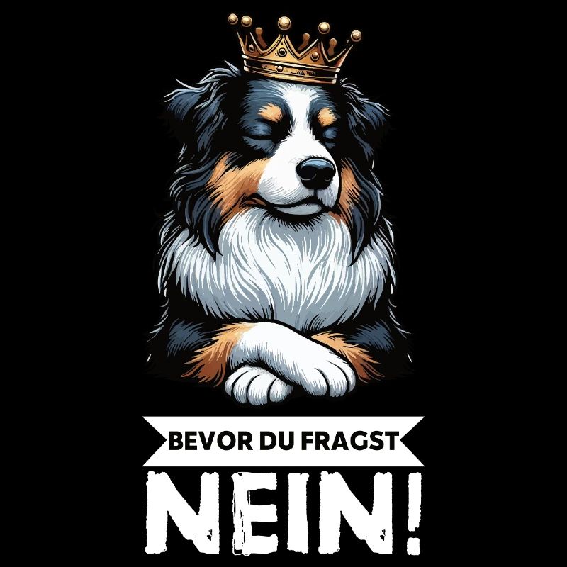 Bevor Du Fragst Australian Shepherd Aussie Aussie