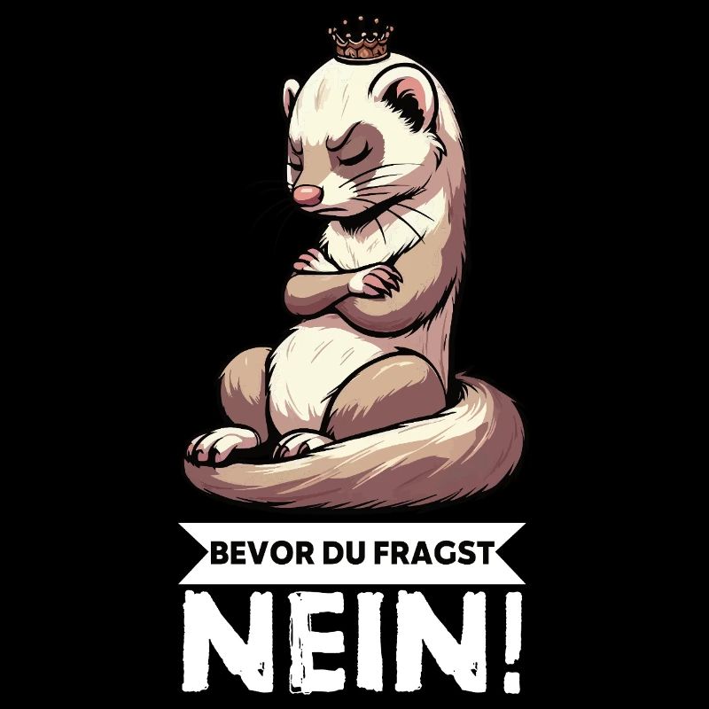 Before you ask No ferret ferret owner