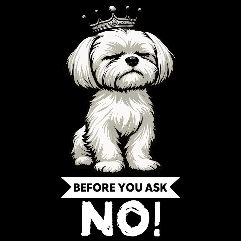 Before You Ask Malteser Maltese Owners Maltese