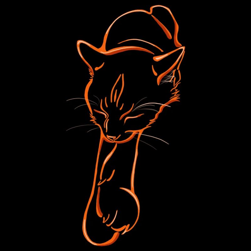 Sleeping cat