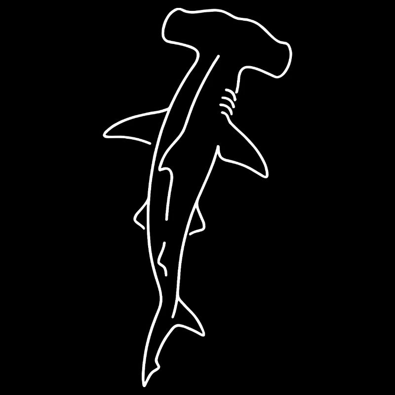 Dessin du contour du requin-marteau