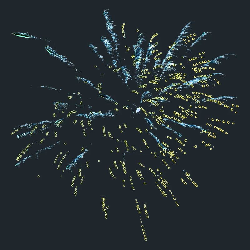 Fireworks 01
