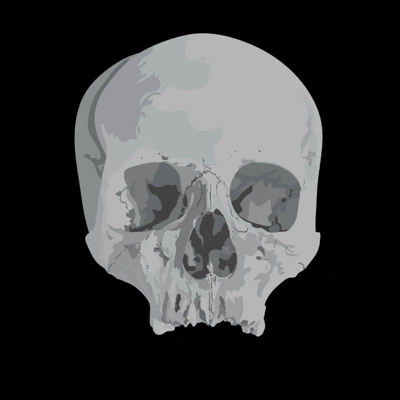 Schädel Totenkopf Totenschädel Skelett Knochen