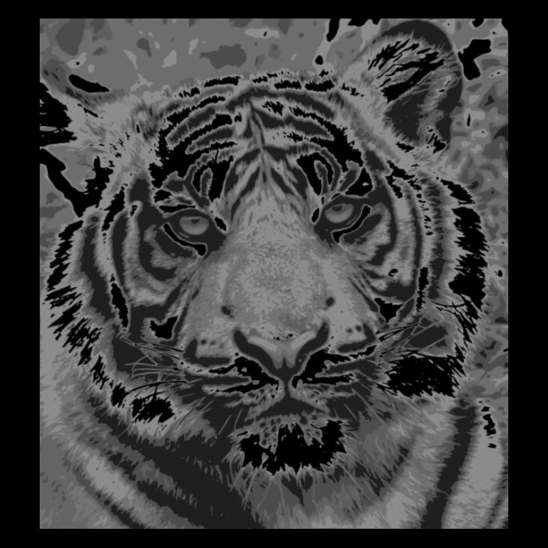 tiger