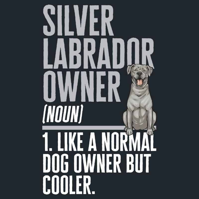 Silberner Labrador Retriever Silberner Lab