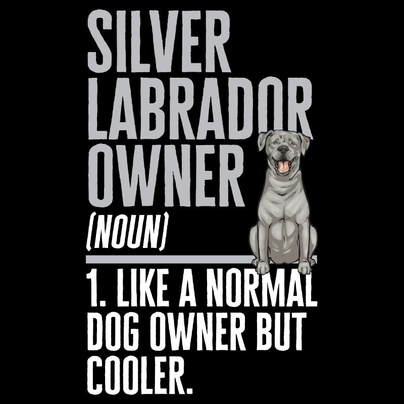 Silberner Labrador Retriever Silberner Lab