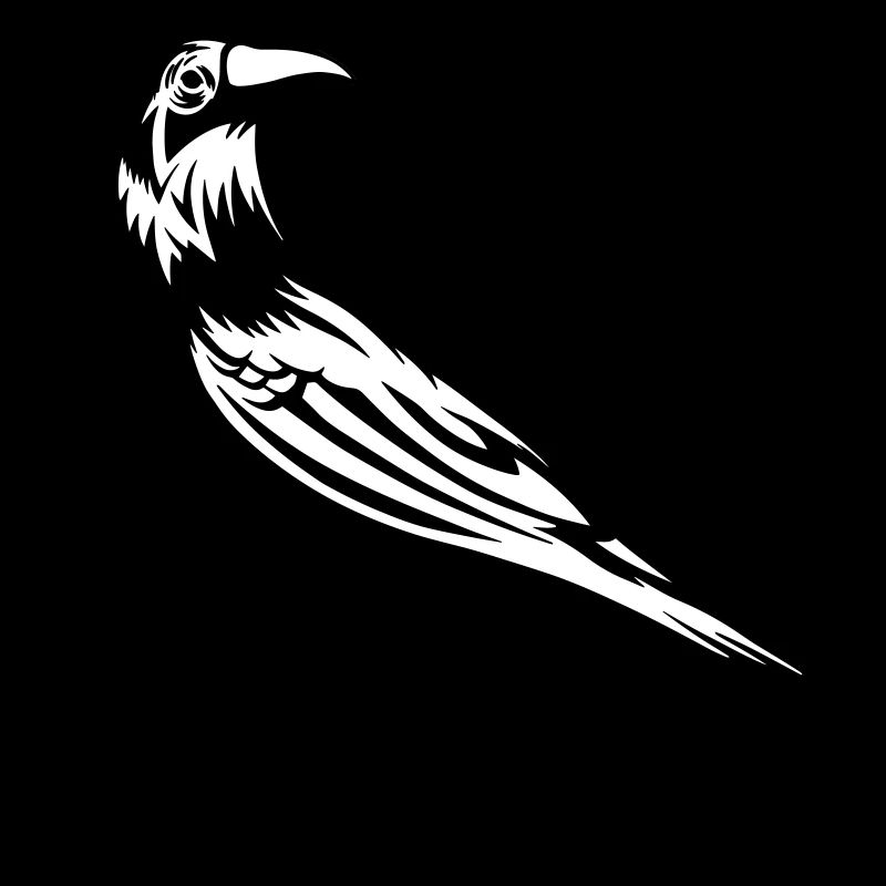 Raven - crow