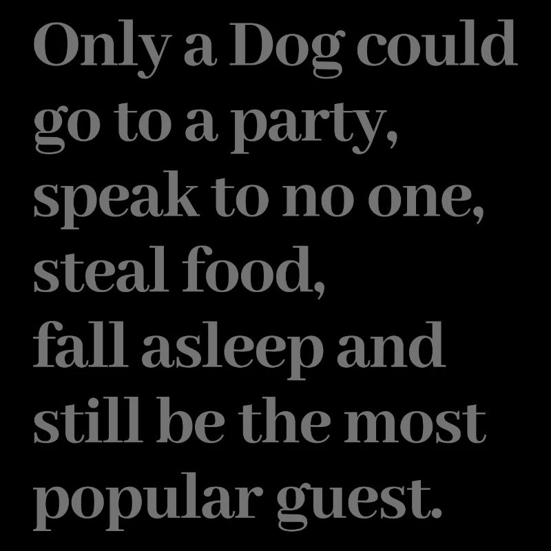 Drôle de citation de chien