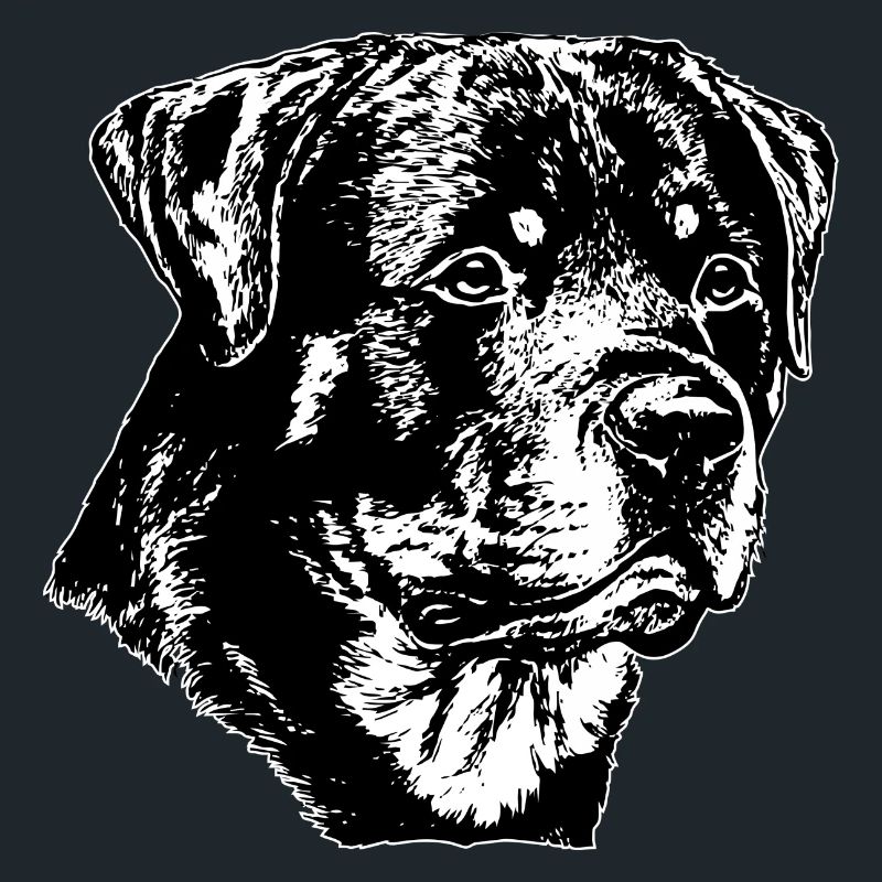 Rottweiler Dog