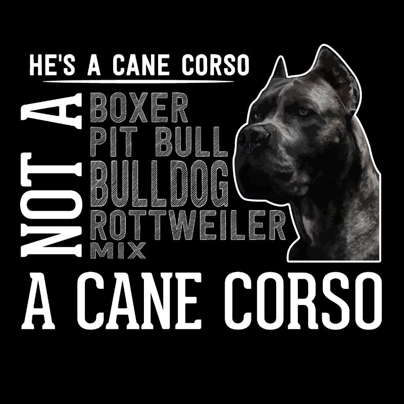 Chien Cane Corso race cadeau chiot chien