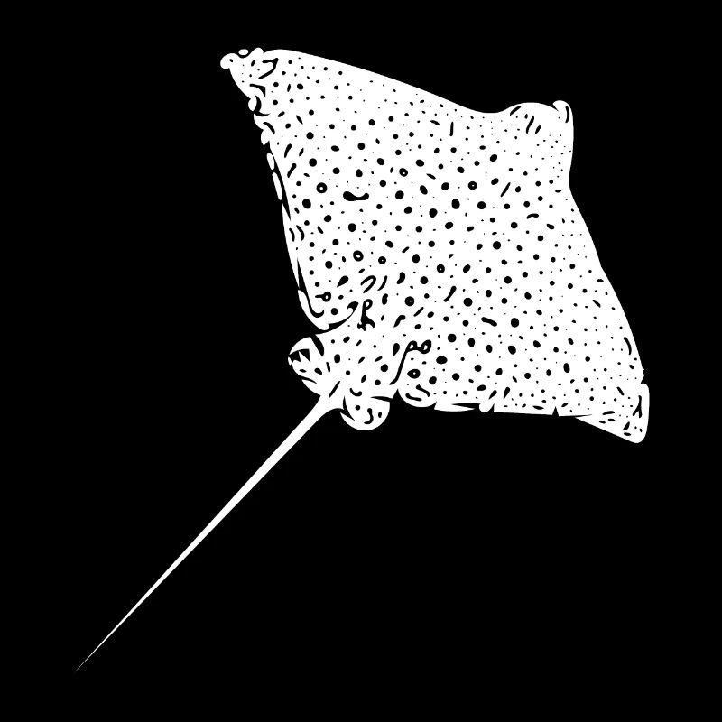 Eagle rays