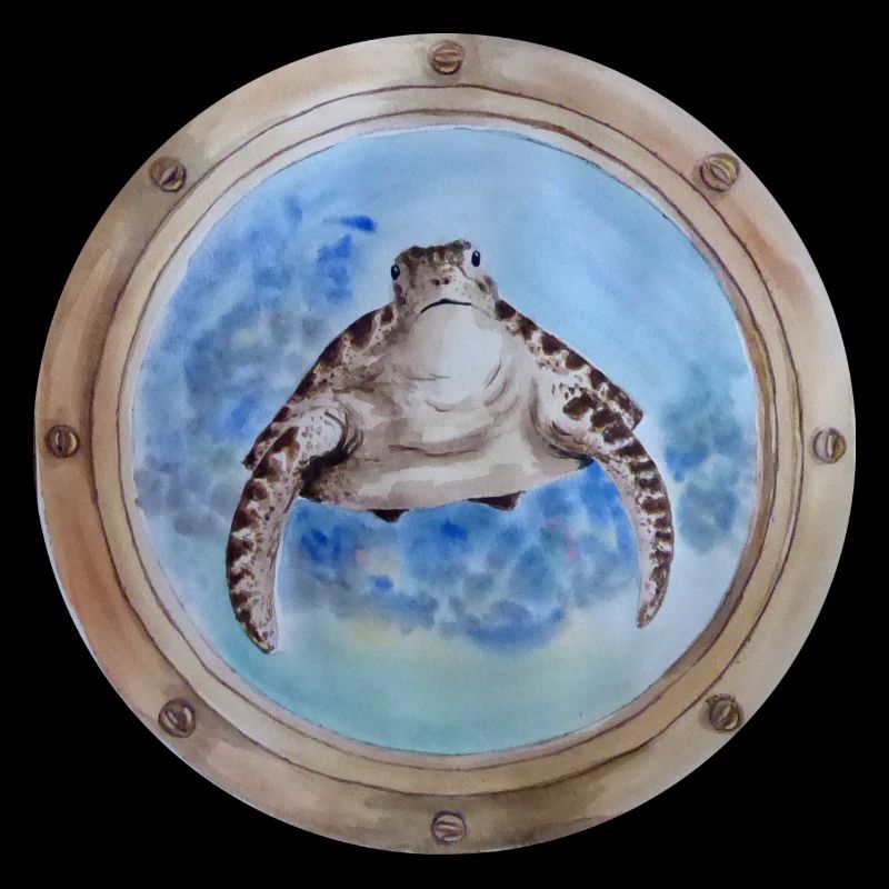 porthole turtle