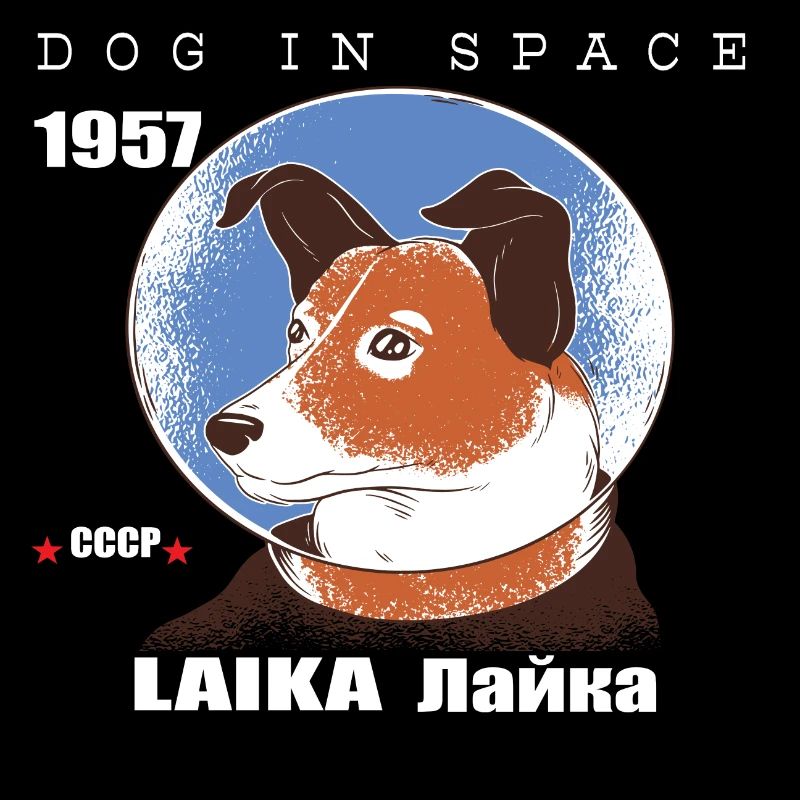 Weltraum Hund,LAIKA,1957 Raumfahrt Geschenk,Space