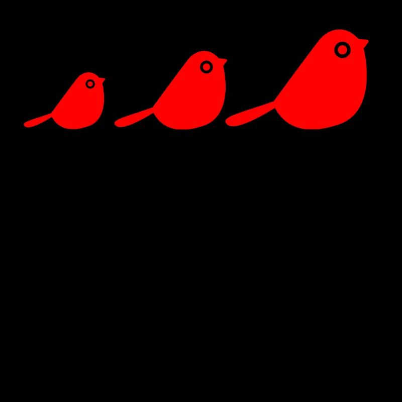 Des oiseaux